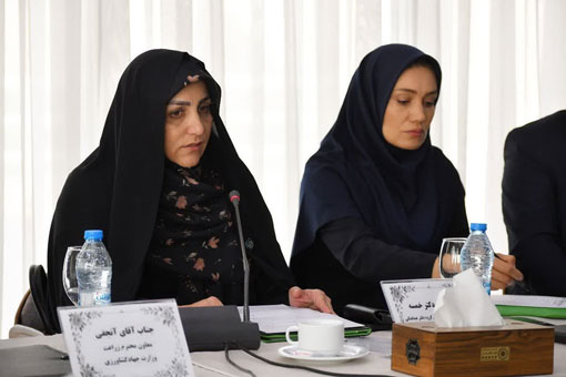 مطالبات گندمکاران تا پایان شهریور پرداخت می‌شود/ تأکید بر هوشمندسازی کشاورزی