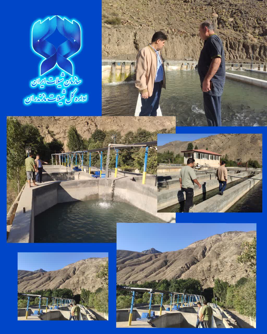 شیلات مازندران در میدان حمایت از تولید؛ بررسی موانع آبزی‌پروری در بلده نور