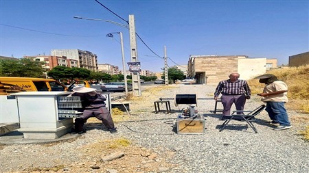 جهش 80 برابری سرعت اینترنت در ایلام با تکمیل شبکه فیبر نوری