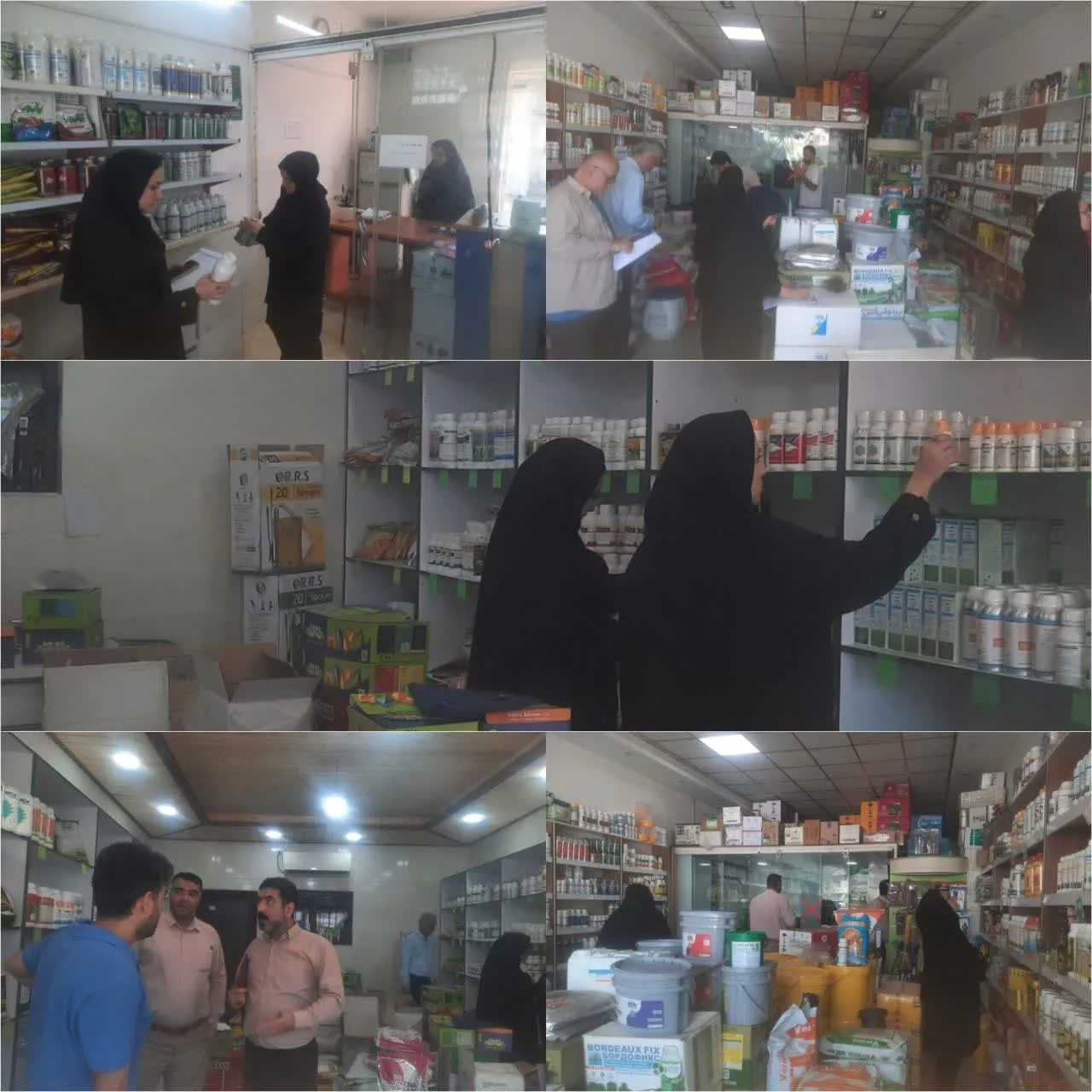 هشدار مدیر جهاد بابل به فروشندگان سموم/ سلامت جامعه خط قرمز ماست