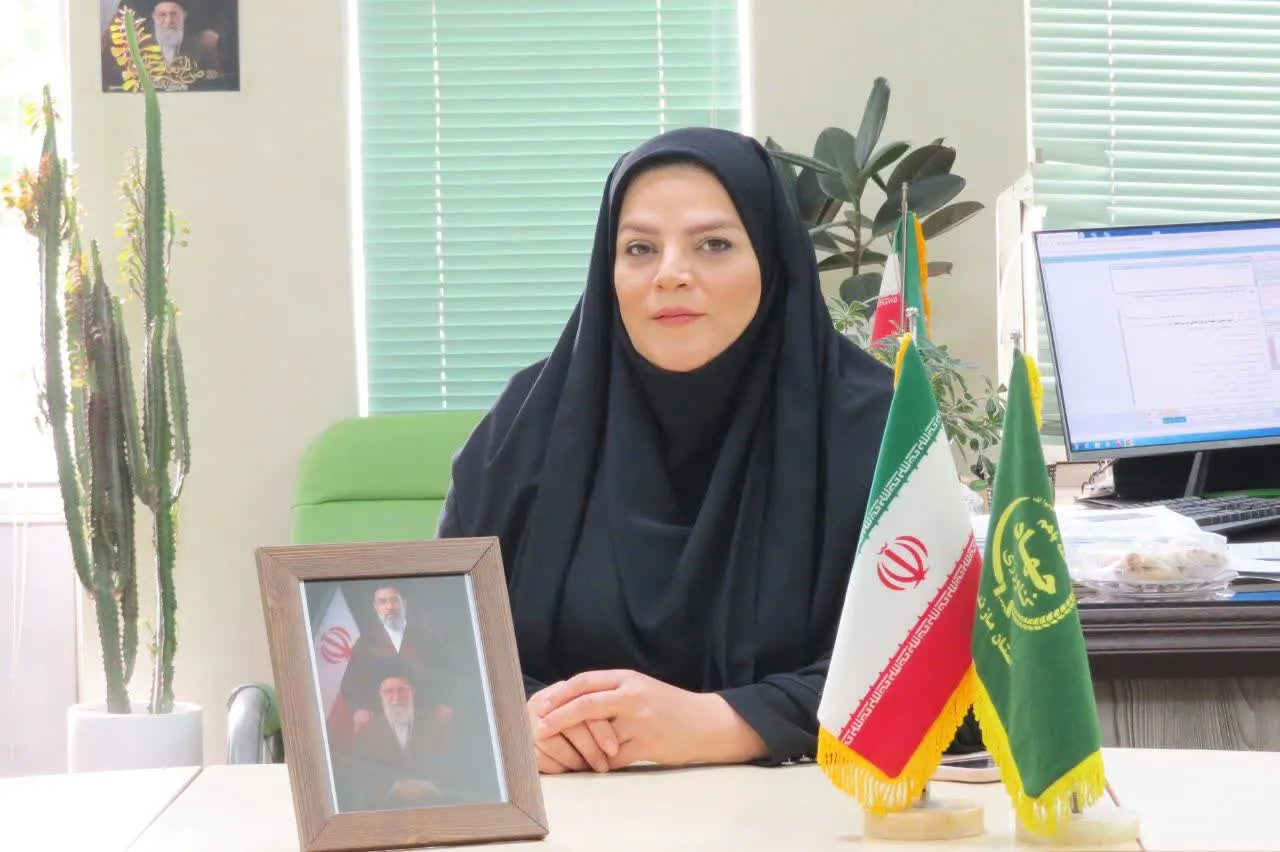 فعالیت 45 واحد شالیکوبی در قائم‌شهر؛ پایان برداشت برنج بیش از هشت هزار هکتار شالیزار