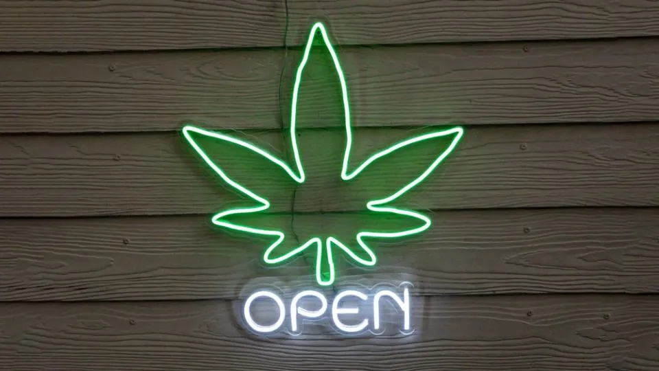 Thai cabinet endorses draft cannabis control bill for medical use